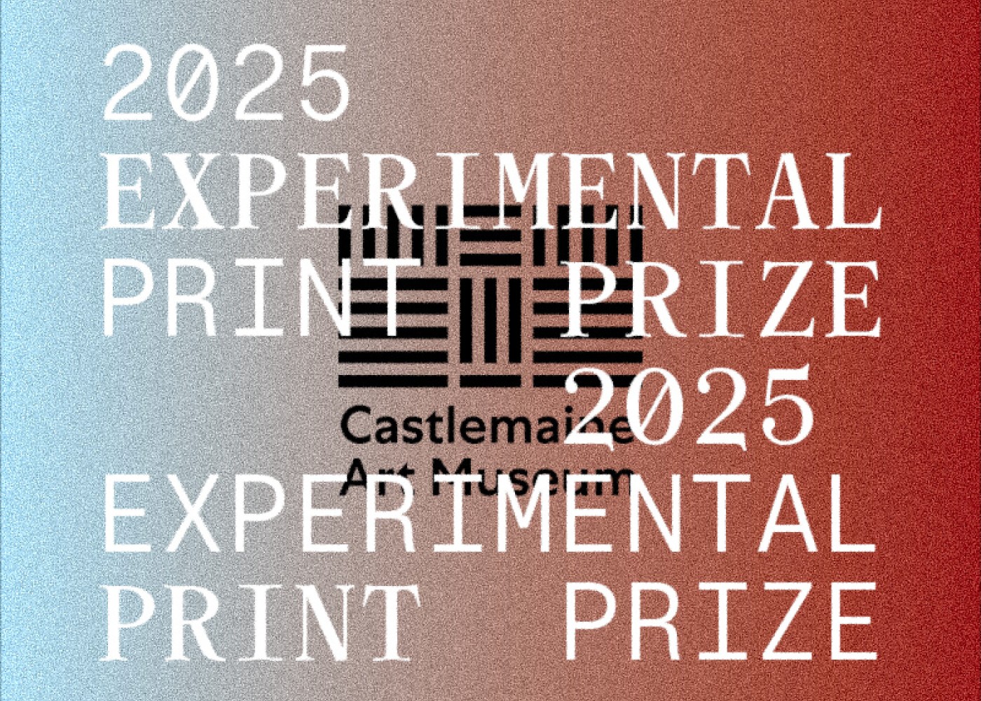 Experimental Print Prize